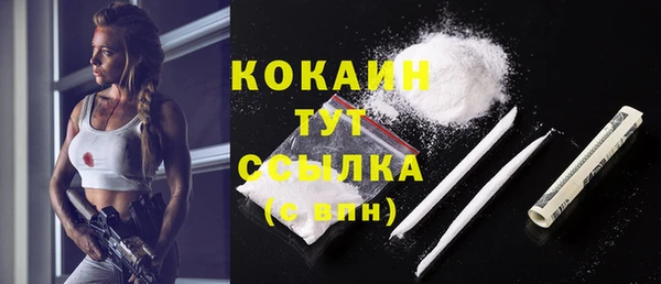 спиды Арсеньев