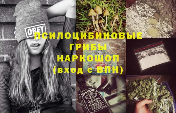 дмт Аркадак