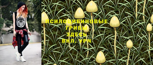 прущая мука Армянск