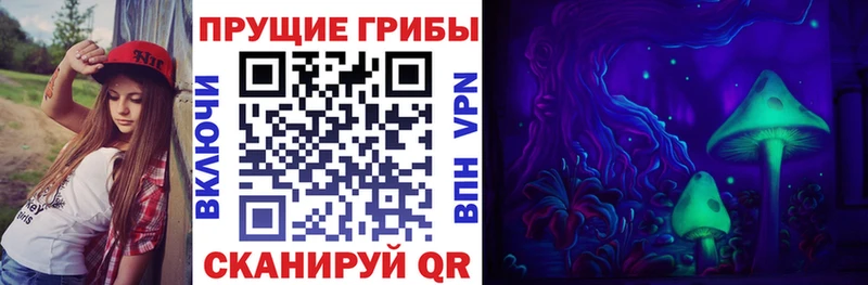 Купить  Кулебаки  Галлюциногенные грибы Magic Shrooms 